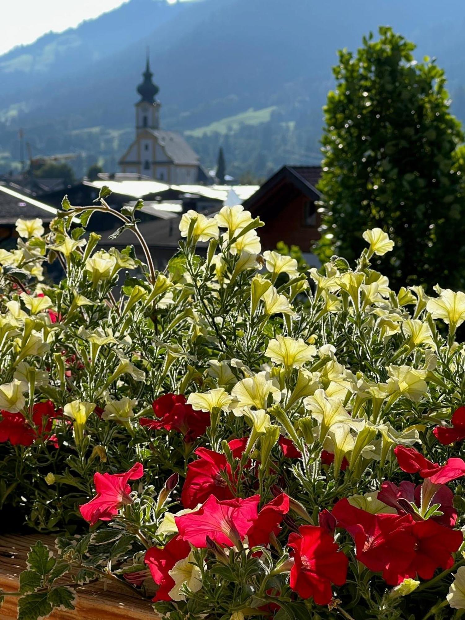 Residenz Theresa Soll Luaran gambar